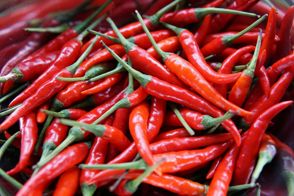 Red chillies